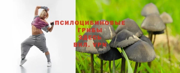 каннабис Арсеньев
