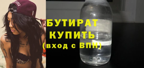 шишки Аркадак