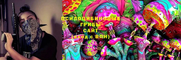 шишки Аркадак