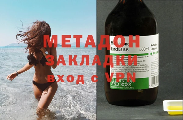 шишки Аркадак