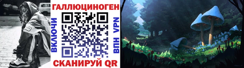 закладки  Шлиссельбург  Псилоцибиновые грибы мицелий 